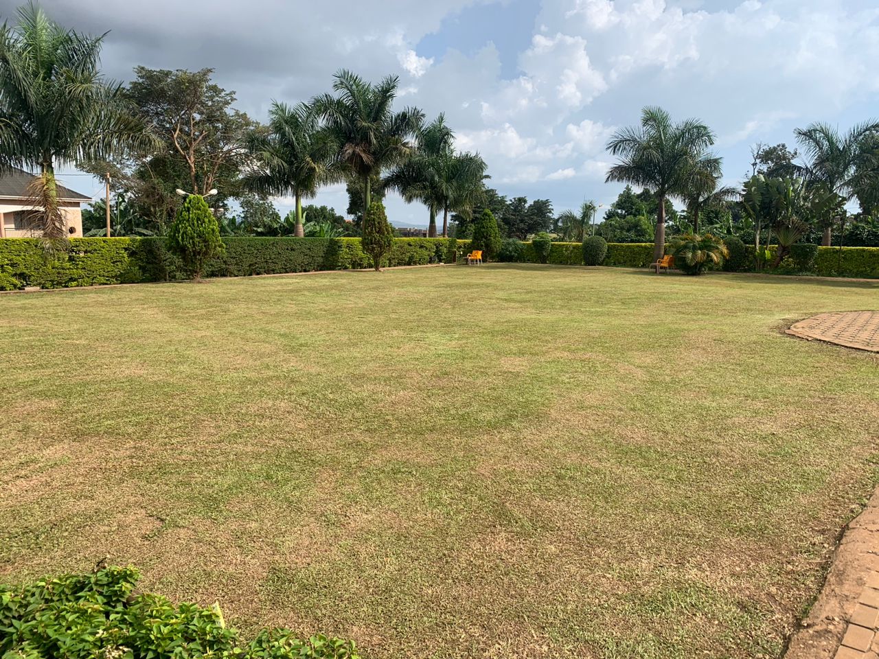 Tarzan gardens